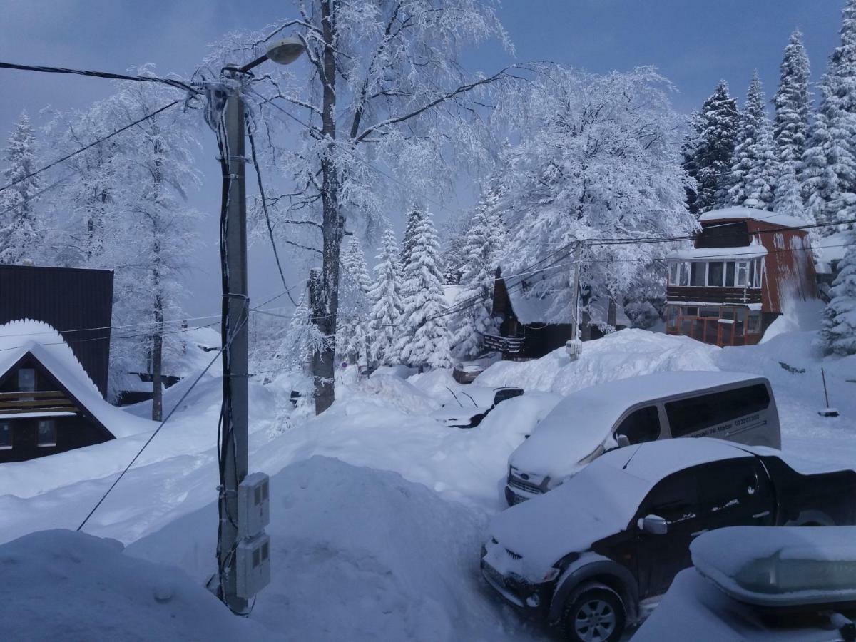 Apartments Artic 亚霍里纳 外观 照片